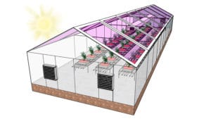 Read more about the article Next Generation of Greenhouses May Be Fully Solar Powered